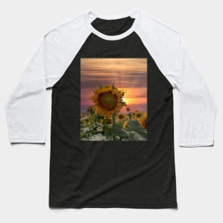 Breathtaking sunset over a sunflower field Baseball T-Shirt